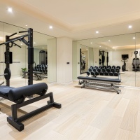 A home gym with exercise equipment and mirrors